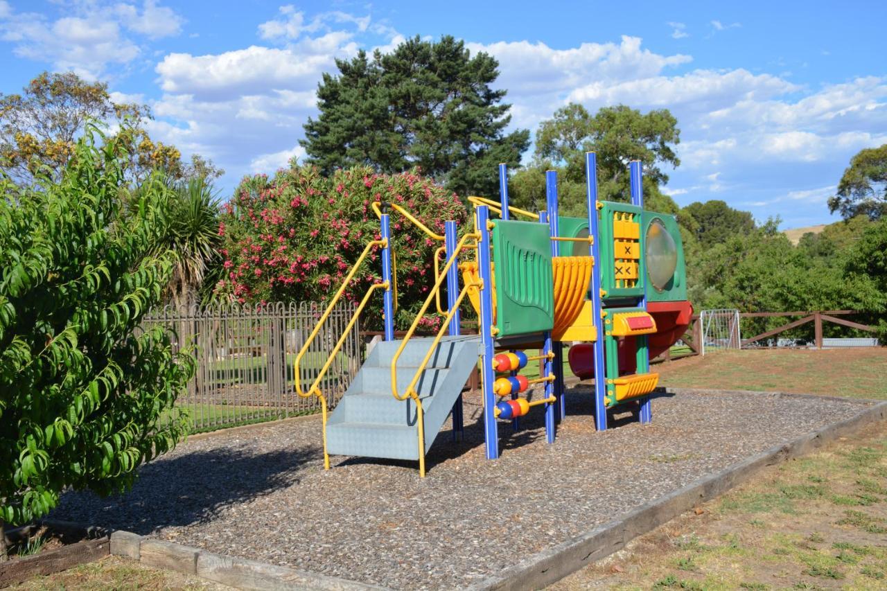 Angaston Vineyards Motel Dış mekan fotoğraf