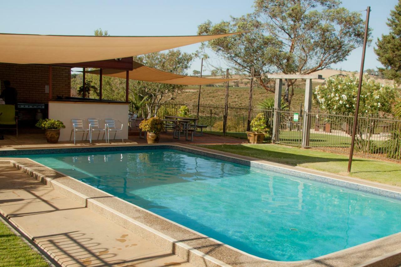 Angaston Vineyards Motel Dış mekan fotoğraf